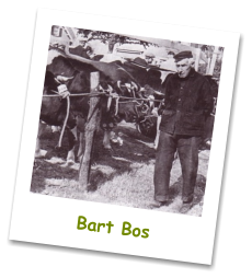Bart Bos